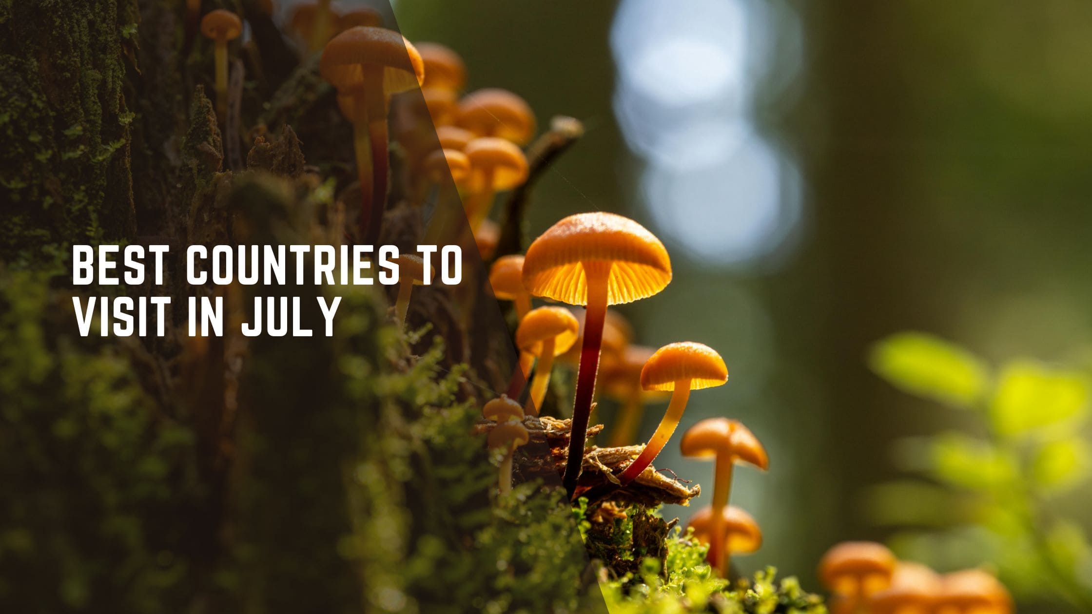 best-countries-to-visit-in-july